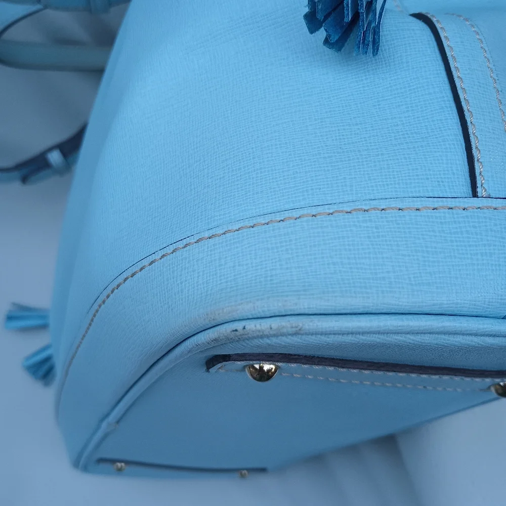 Dooney and Bourke Safiano double strap tassel tote - Picture 12 of 12